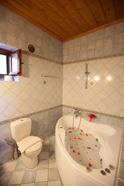 Hotel Machalas Kipoi Oda fotoğraf
